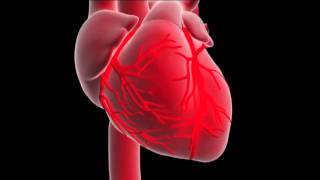 What is a myocardial infarction or heart attack [upl. by Melan952]