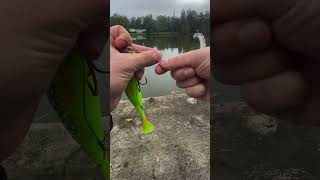 Stylo canne a pêche  fishingvideo fishing pecheur [upl. by Eyllib]