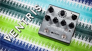 Source Audio Ventris  Dual Engine Reverb  Everything you want to know [upl. by Ennywg]