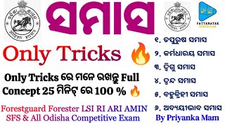 Odia Grammar Samasa Concept Class by PATTANAYAKEDUCATION  Samasa Tricks Class by Priyanka Mam [upl. by Rebor435]