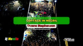 Duane Stephenson Cottage In Negril DVD Radiola Guarani Volume 17 2023 [upl. by Magda]