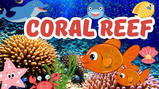 Coral Reef  Underwater Animals  Sea Animals  National Geographic What is Coral Reef [upl. by Hannad]