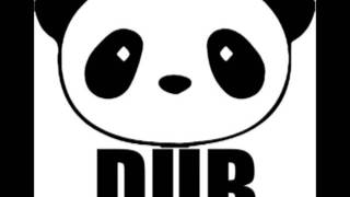 Paulette Wright amp Panda Dub  Protect The Earth ‎ HHSDubBox 05 [upl. by Hsu]