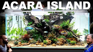 Electric Blue amp Royal Acara Tank EPIC 4ft Aquascape Tutorial [upl. by Cleavland]