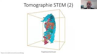 La microscopie STEM appliquée aux échantillons biologiques par Sylvain Trepout [upl. by Mullins]