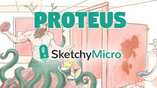 Proteus  SketchyMicro  Sketchy Medical USMLE Step 1 [upl. by Zinn663]