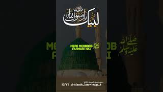 NAMUS E RISALAT PE PAHARA yarasoolallah yahabeeballahﷺ [upl. by Anchie]