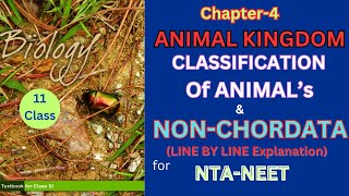 Class 11 Animal kingdom NonChordatesncertbiology Harunbiozone [upl. by Laurena682]