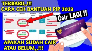 Cara mengecek pip sudah cair apa belum  PIP 2023 KAPAN CAIR [upl. by Sekyere]