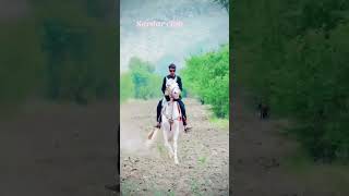 gorry shoq nawaba dy punjabisong horseriding newsong punjabi song music automobile [upl. by Fleta]