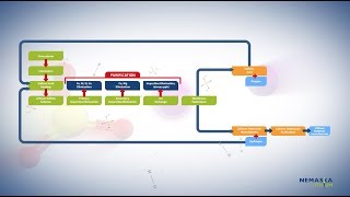 NEMASKA LITHIUM  INNOVATION OF THE PROCESS [upl. by Bensky]