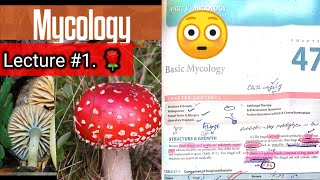 Basic mycology 🛑 LECTURE 1 Chap 47 Difference between fungi and bacteria hyphaeyt Lab diagnosis [upl. by Adolfo63]