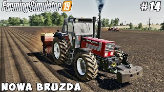 Planting potatoes harvesting sunflowers  Nowa Bruzda  Farming simulator 19  Timelapse 14 [upl. by Abixah]