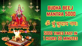 Budha Mantra 5000 Times  ॐ बुं बुधाय नमः 5000 Times  Om Bum Budhaya Namah [upl. by Alleahcim]