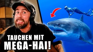 SKANDAL INFLUENCERIN streichelt MONSTERHAI  Macht DAS niemals  Robert Marc Lehmann [upl. by Thorlie]