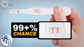 How Do Pregnancy Tests Work [upl. by Miguela]