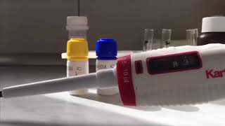 Alkaline phosphatase ALP Test Principle Procedure Normal range [upl. by Asilram]