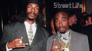 2Pac amp Snoop Dogg  Street Life NozzyE Remix [upl. by Ludeman]