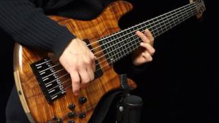 Six String Bass Solo  Sets of Seven [upl. by Eta]