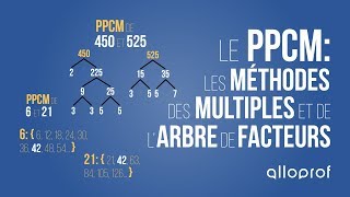 QCM  Généralités sur les fonctions  Seconde [upl. by Inalej511]