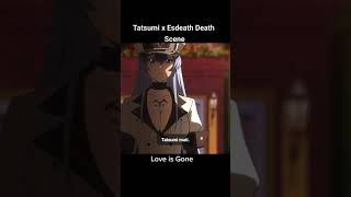 Esdeath Death Scene  Akame ga Kill esdeath akamegakill shorts [upl. by Edia]