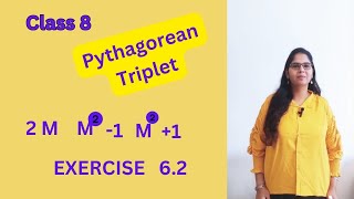 Class 8  Pythagorean Triplets Exercise 62 [upl. by Elimac531]