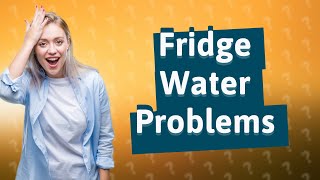 Why is my fridge water dispenser not working properly [upl. by Carlyn862]