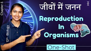 class 12th Biology chapter 1one shot 🔥 class 12th biology jivo mein janan जीवों में जनन [upl. by Eladal]