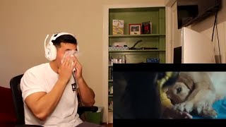 Marshmello ft Bastille  Happier Official Music Video  REACTION [upl. by Rossi]