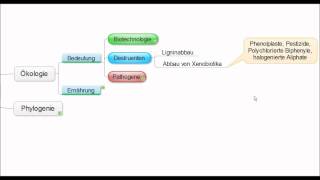 01 Crashkurs Mikrobiologie  Pilze Mycota allgemein [upl. by Aivatco]