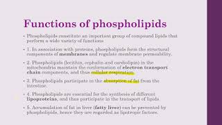 Phospholipids glycolipids lipoproteins [upl. by Amerd940]