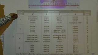 Marchand Biology  Reading a Codon Chart [upl. by Werbel]