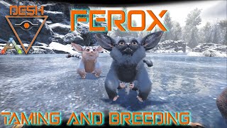 Ferox Taming and Breeding  ARKSurvival Evolved [upl. by Aicilic]