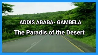 Addis Ababa  Gambela  The Paradis Of Desert  Ethiopian instrumental music [upl. by Frissell54]