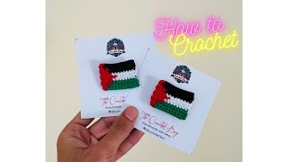 How to Crochet a Palestine Flag Brooch [upl. by Buxton154]