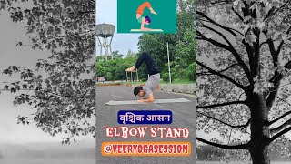 वृश्चिक आसन योग अभ्यास  Elbow Stand Practice yogashorts shorts ytshorts trend veeryogasession [upl. by Bobbie]