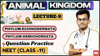 Animal Kingdom  PhylumEchinodermata  PhylumHemichordata  Class11  Medico prime education [upl. by Barbey820]