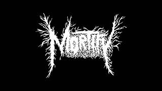 Mortify  Stinking Grave  Demo 2017 [upl. by Wichern828]