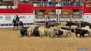 2016 NCHA Open Futurity Champions Second Spot and Matt Gaines [upl. by Drofniw]