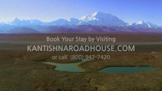 See Denali National Park from Kantishna Roadhouse a Backcountry Lodge in Denali [upl. by Annaer452]