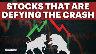 These Stocks Are Beating The Market Crash amp Trading In Green [upl. by Feer769]