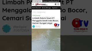 LIMBAH PABRIK SAWIT PT MENGGALA SAWIT INDO BOCOR CEMARI SUNGAI LINGAI [upl. by Aniratak]