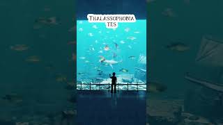 Thalassophobia Test 😭😭 [upl. by Einaffets966]