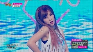 【TVPP】 Apink  Remember 에이핑크  리멤버  Show Music core [upl. by Siladnerb]