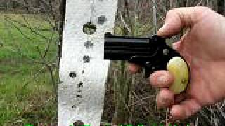 D22 Derringer 2 Shots at 10 Yards [upl. by Annwahs]