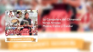 Guelaguetza 2018  La Compañera del Chinanteco [upl. by Annora400]