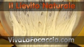 Ricetta per Fare il Lievito Naturale Lievito Madre LiCoLi o Pasta Madre in Casa [upl. by Igic285]