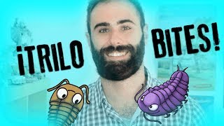 ¡Trilobites De la Explosión Cámbrica a la Gran Extinción [upl. by Bearce]