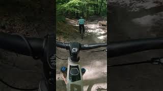 NE PAS SE PRENDRE UN ARBRE epic mtb enduro bikelover [upl. by Fording]