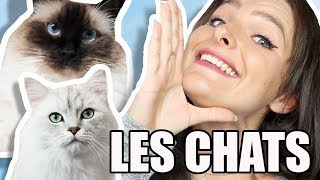 CE QUE PENSENT LES CHATS [upl. by Eiryt]